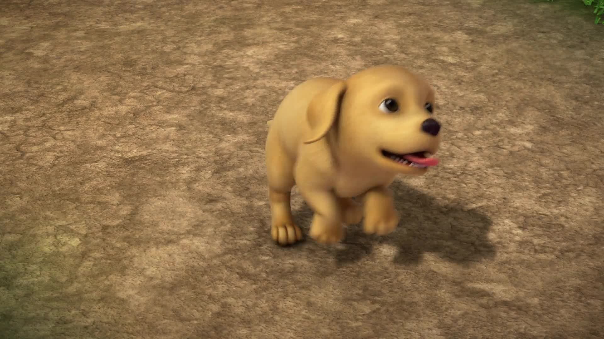 Une vie de chien