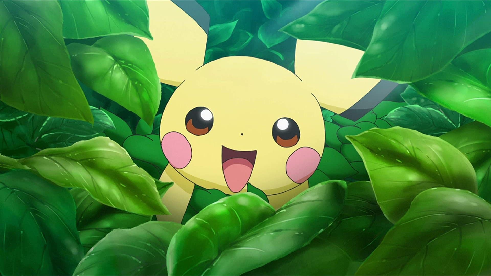 Un Pichu solitaire !