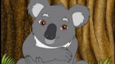 Gros câlin pour "Joey" le koala