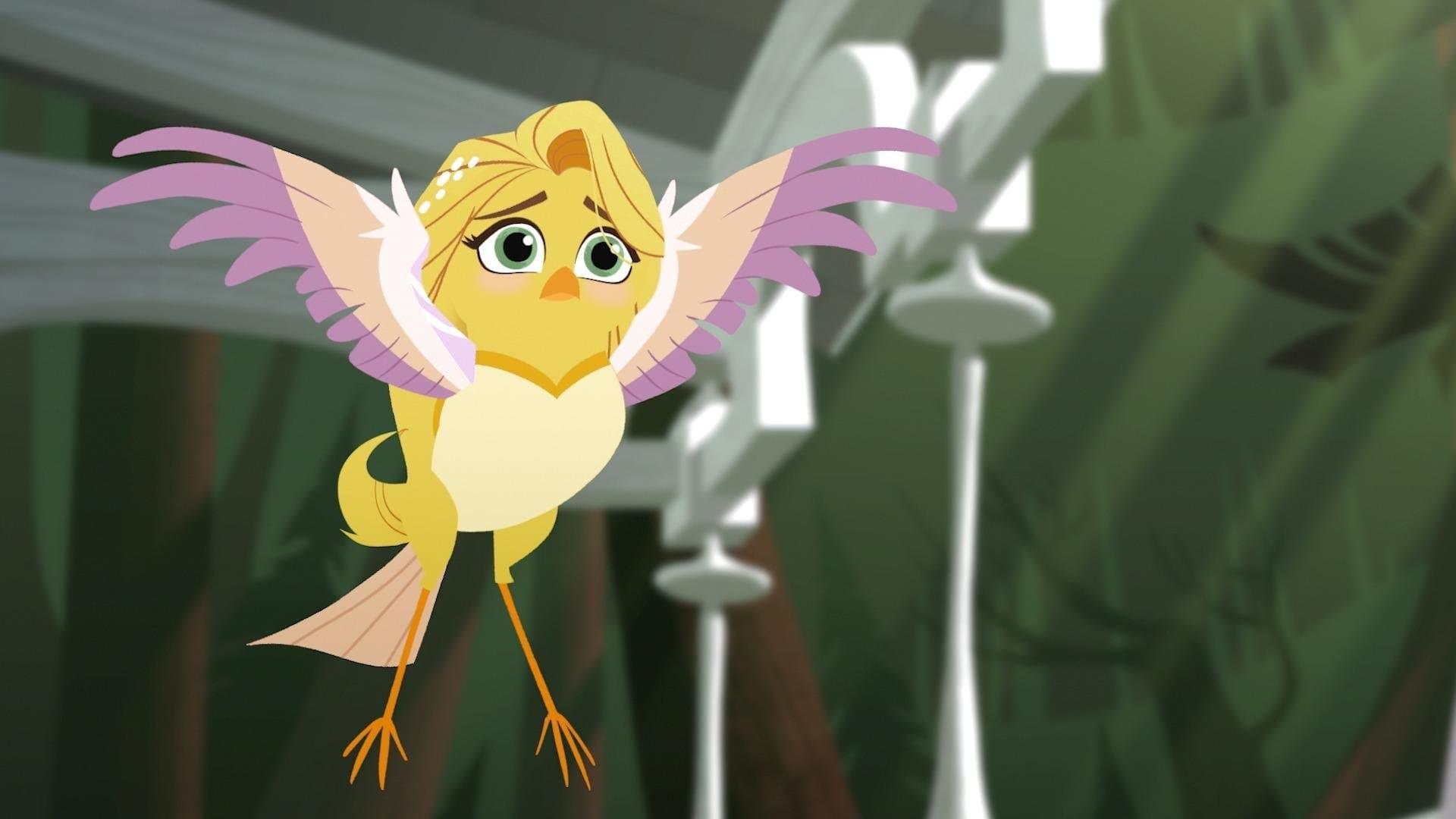 Libre comme un oiseau