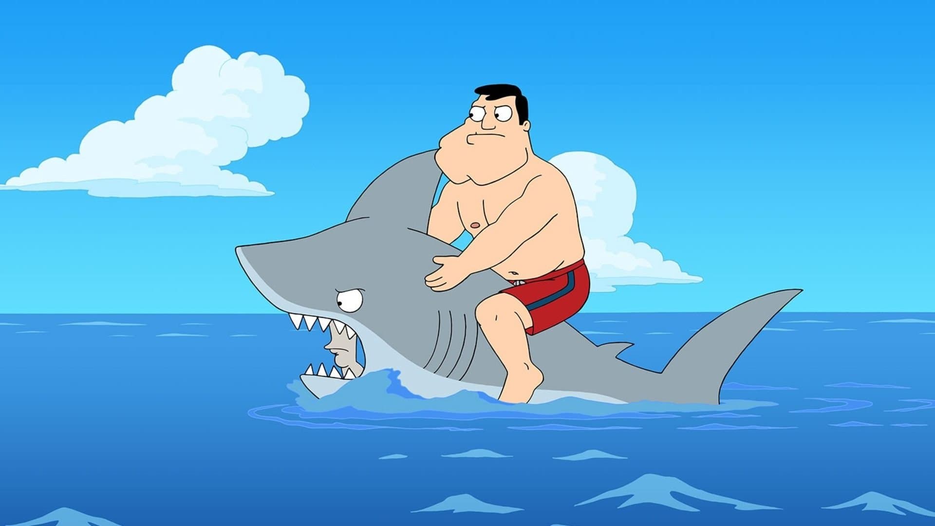 Alerte requin ! Alerte requin !
