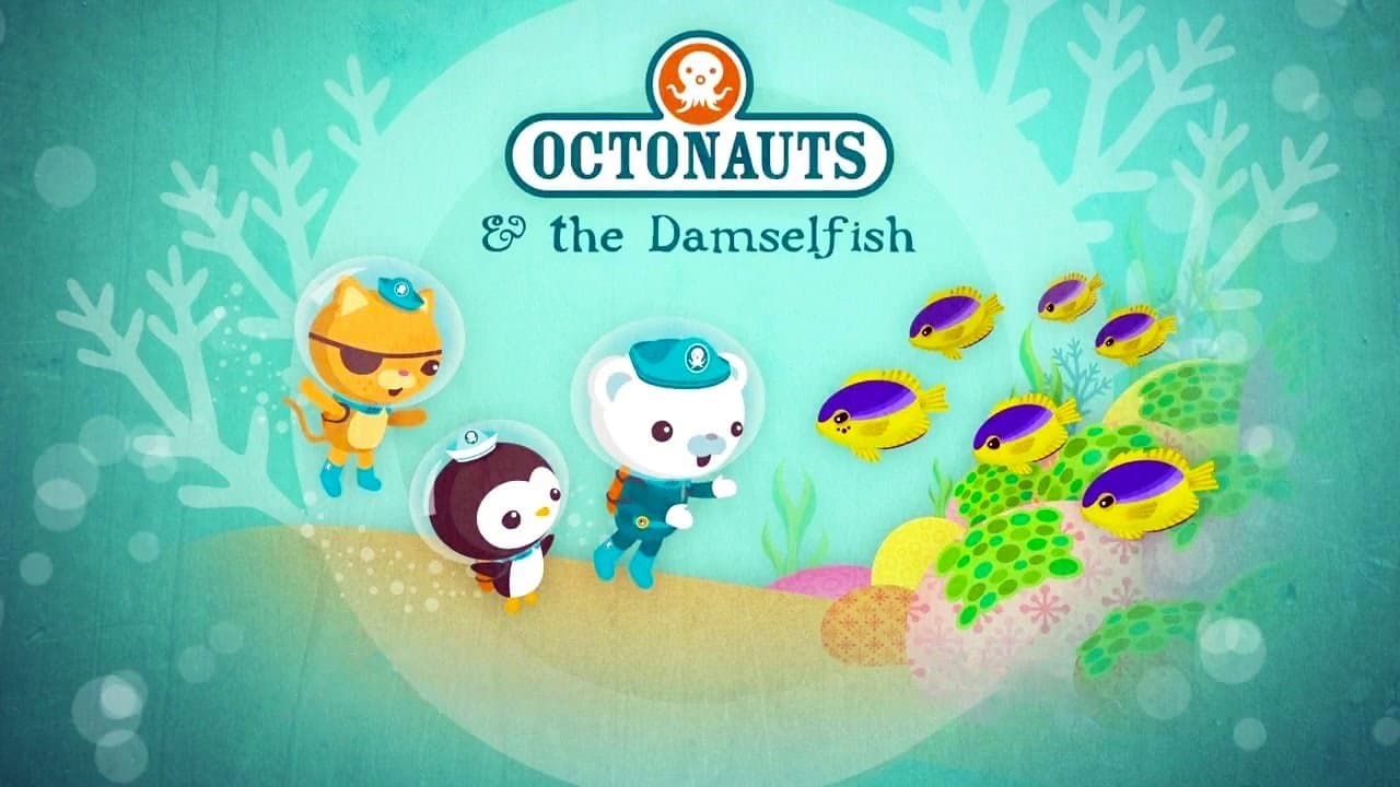 Les poissons demoiselles