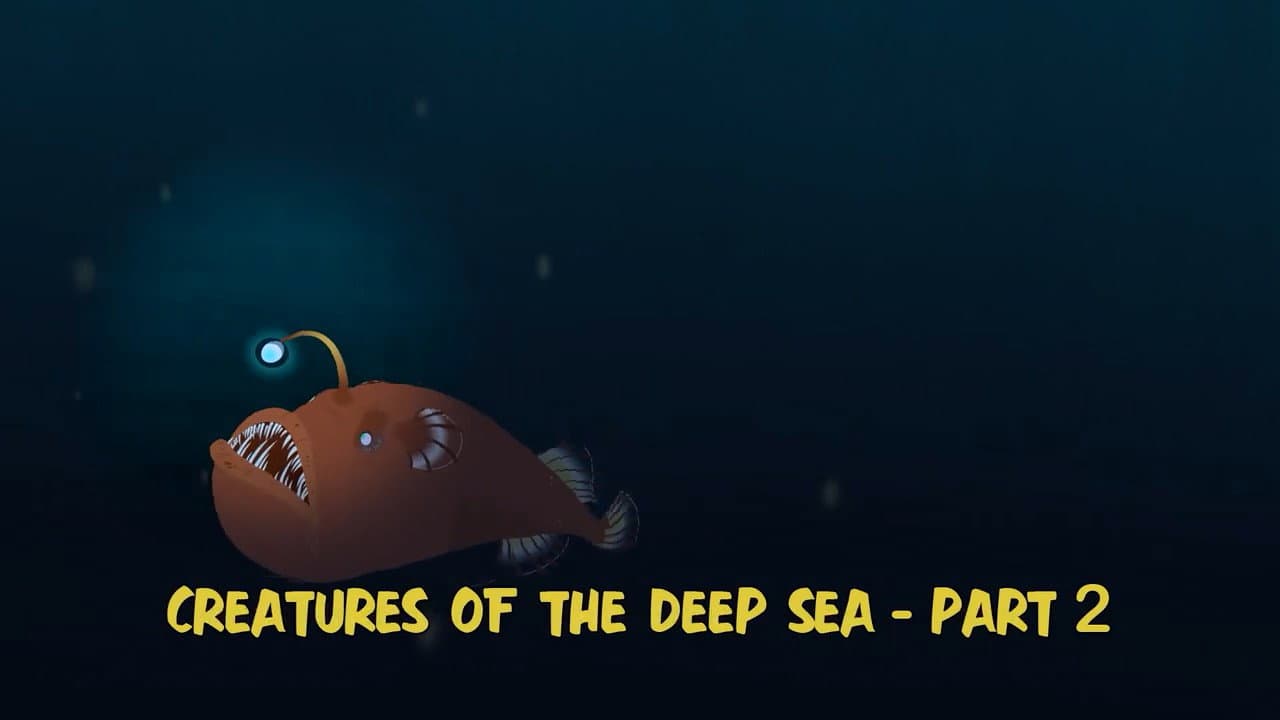 Épisode 14