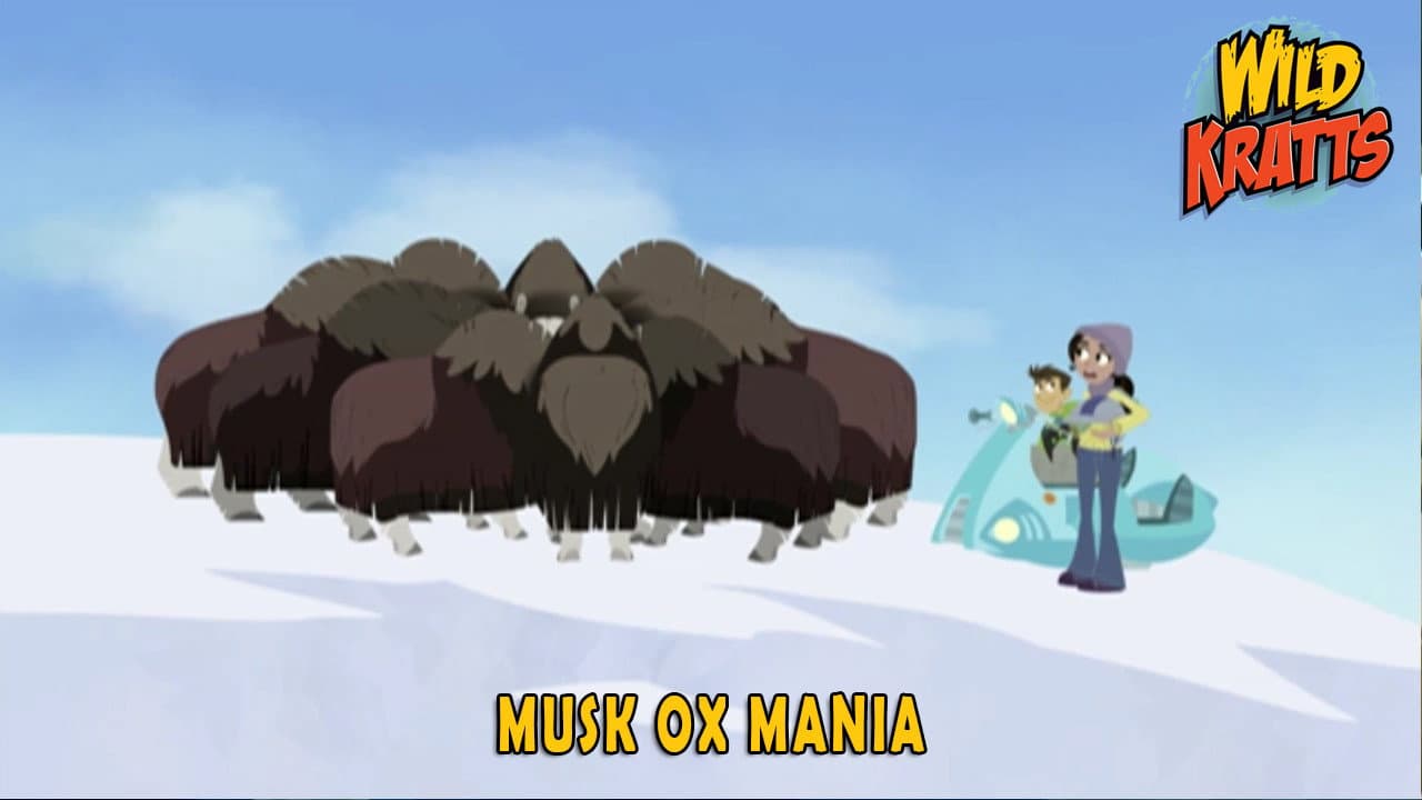 Épisode 24