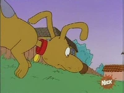 Touche pas à mon chien