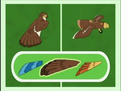 Épisode 11
