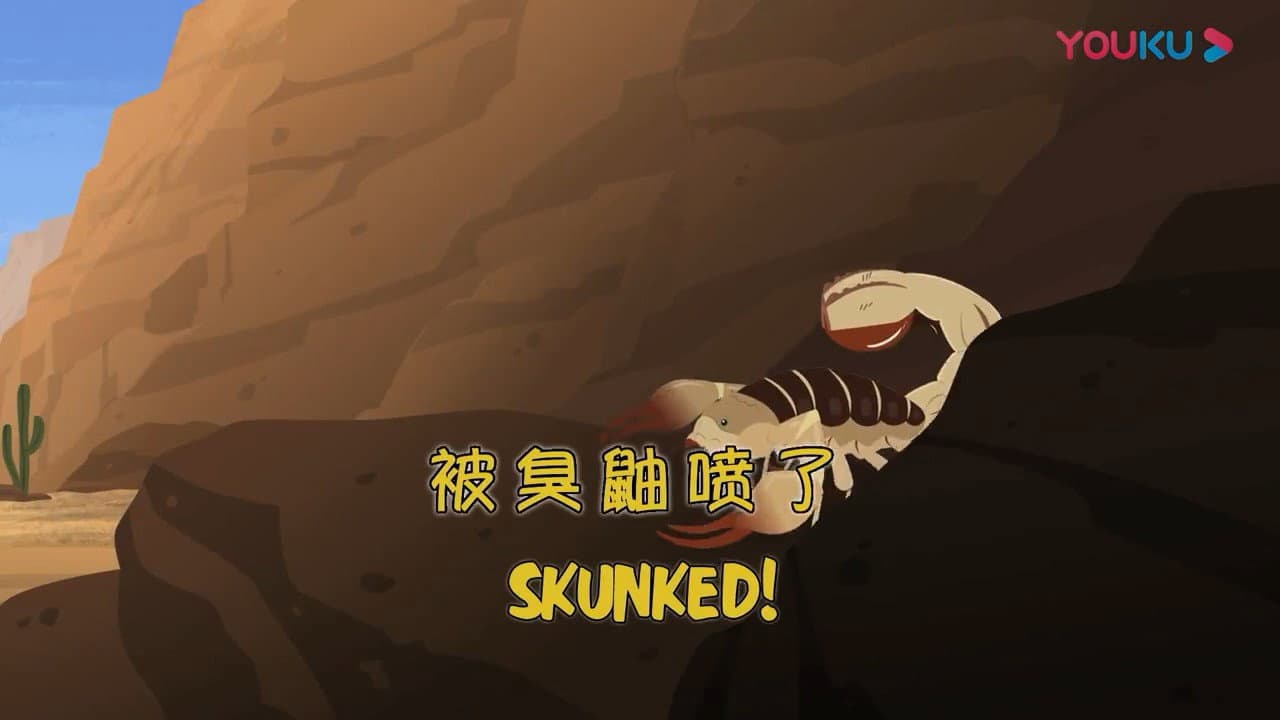 Épisode 20