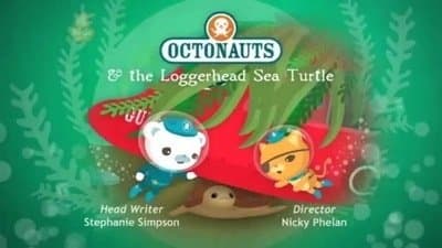 La tortue caouanne