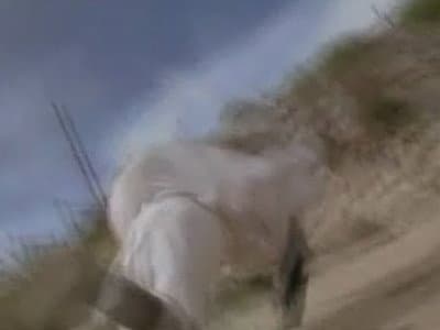 Le Loup solitaire