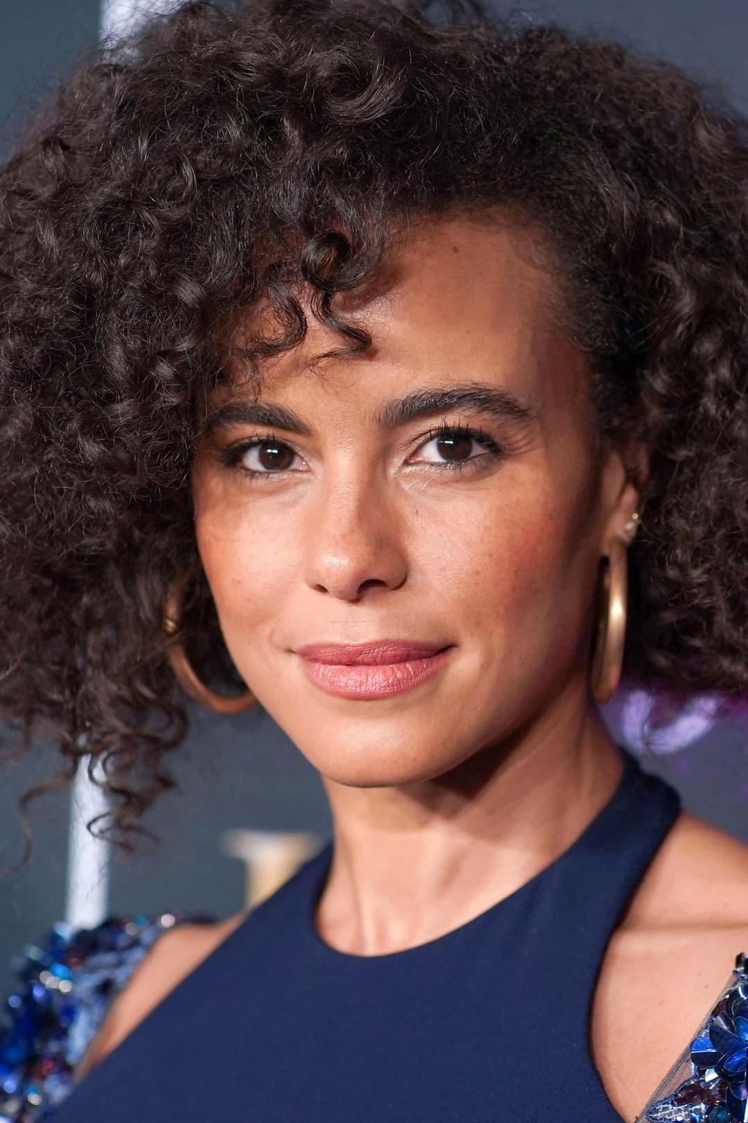 Parisa Fitz-Henley profile Parisa Fitz-Henley profile