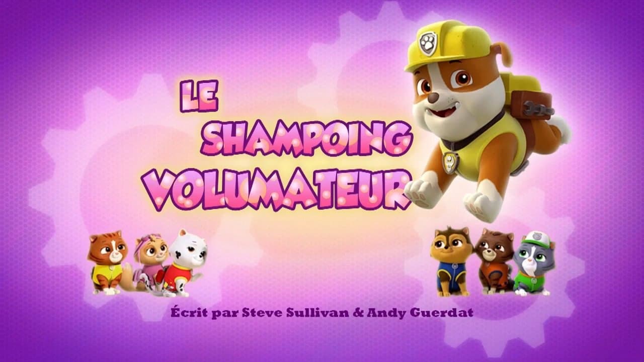 Le Shampoing volumateur Le Shampoing volumateur
