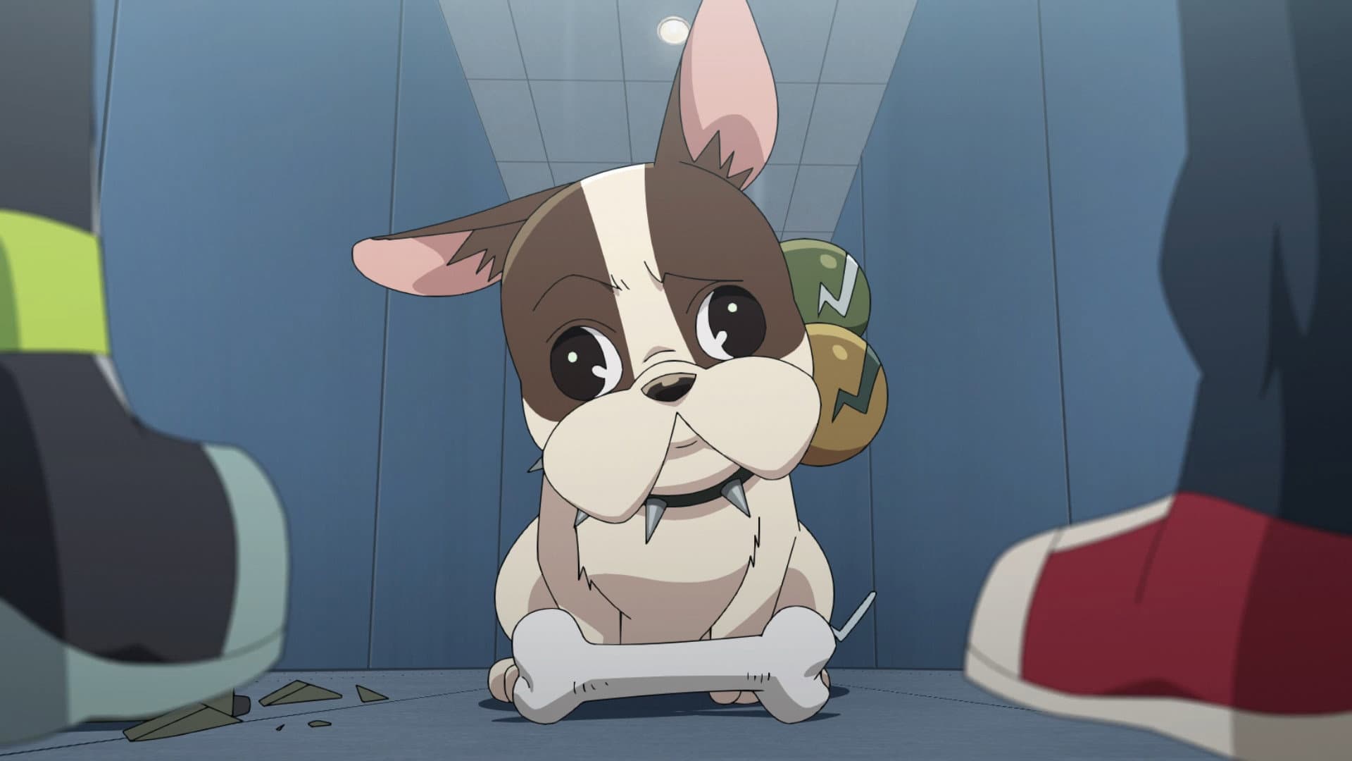 Épisode 15