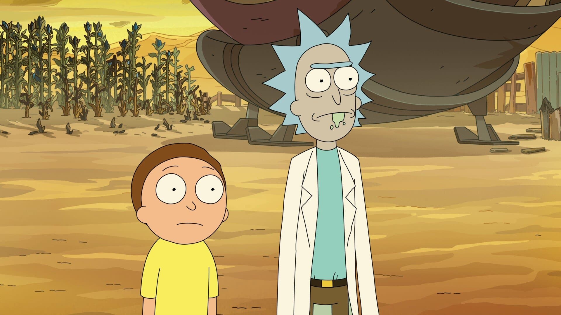 Le Rick, le Morty, et le Truand