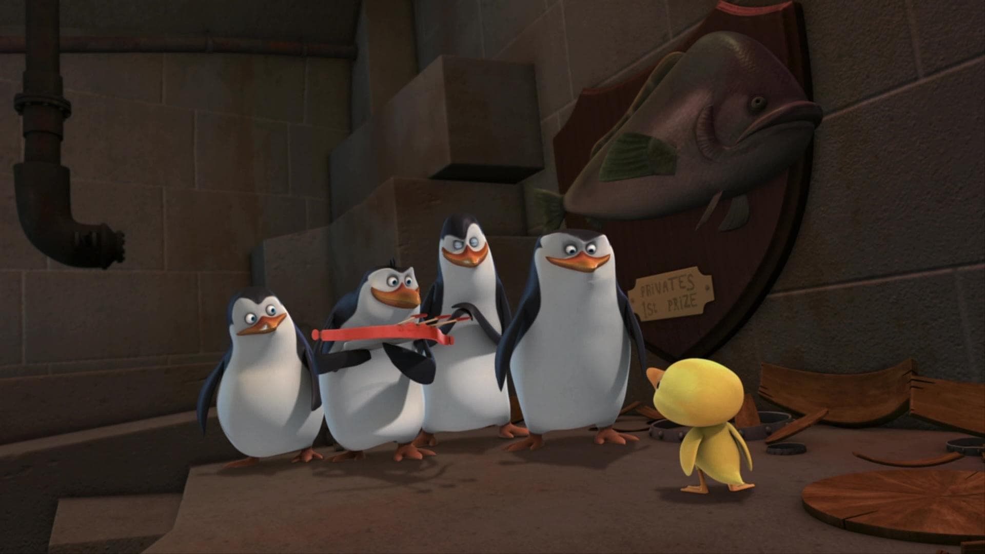 Épisode 6