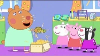 La tortue de la doctoresse hamster