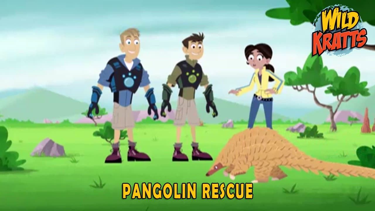 Épisode 9