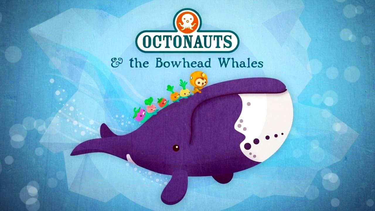 Les baleines boréales