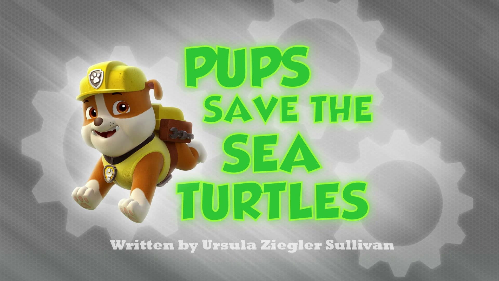 Les Bébés tortues de mer Les Bébés tortues de mer