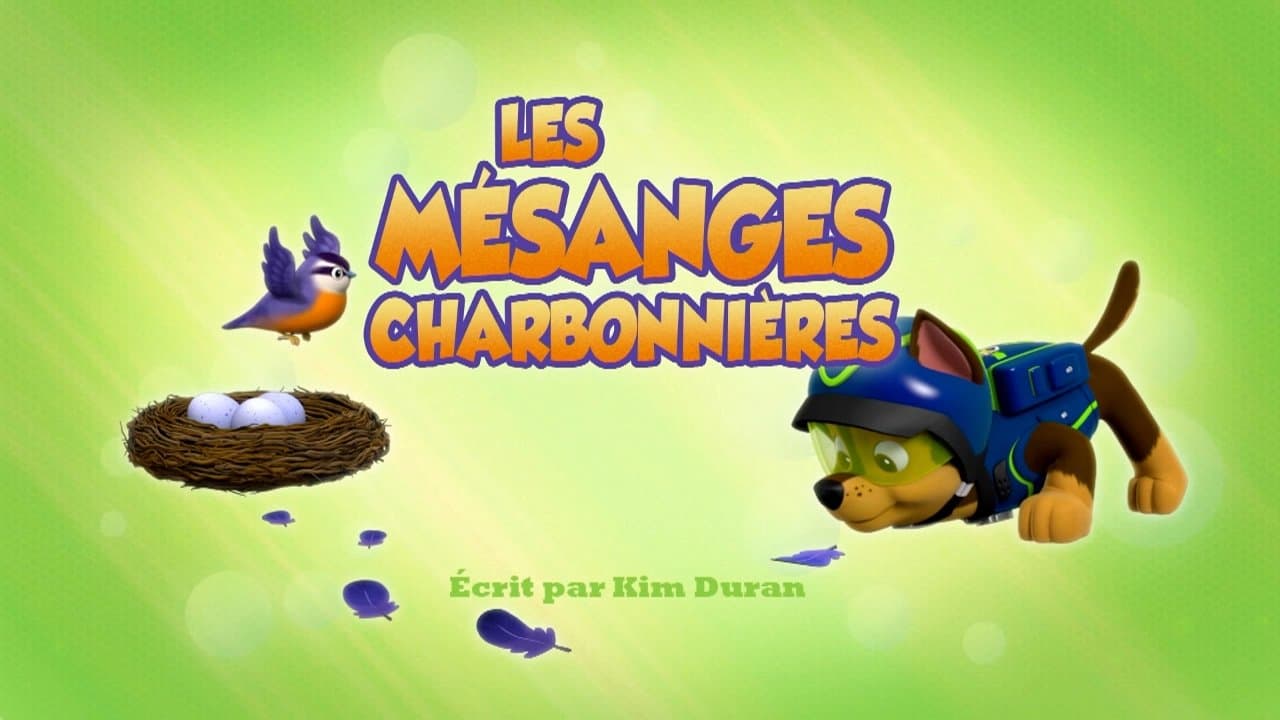 Les Mésanges charbonnières Les Mésanges charbonnières
