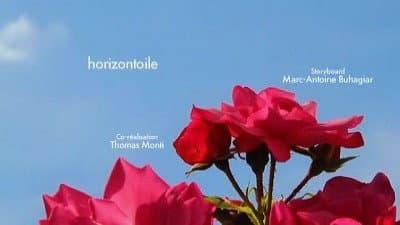 Horizontoile