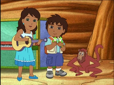 Le concert de la forêt tropicale