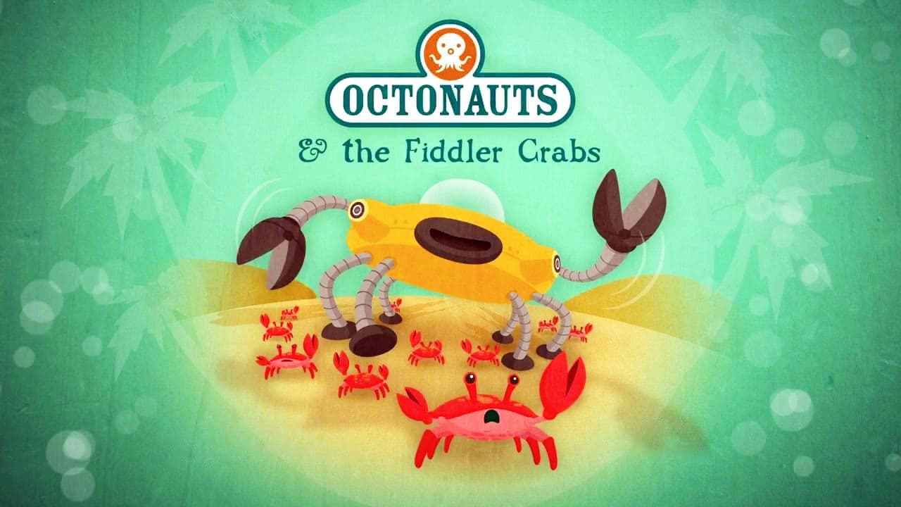 Les crabes violonistes
