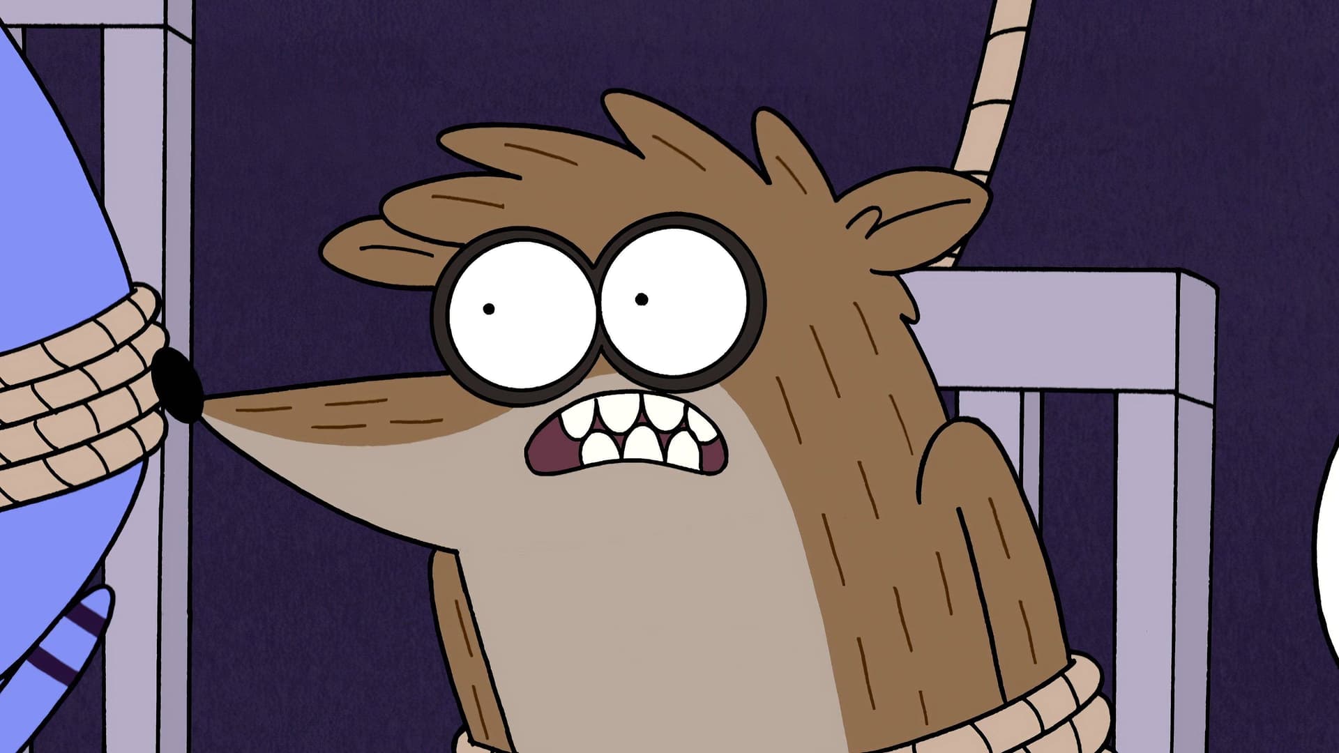 Épisode spécial Noël Épisode spécial Noël