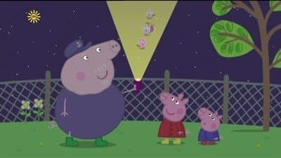 Les Animaux Nocturnes