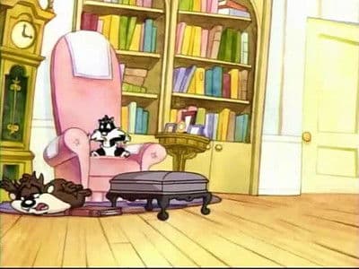 Le petit chat du tonnerre