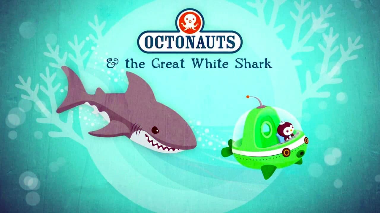 Le grand requin blanc