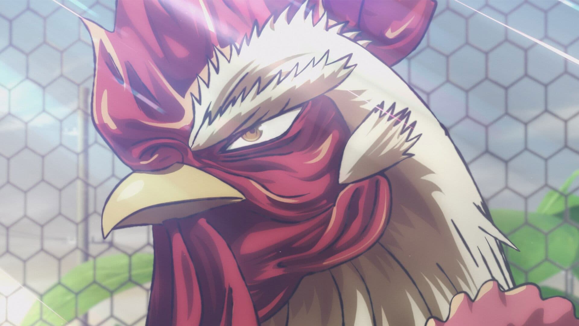 L'Oiseau Rare
