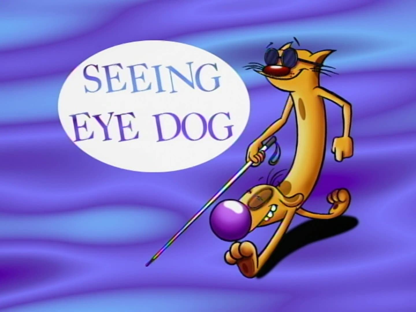 Épisode 5