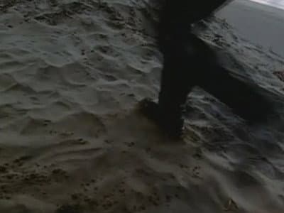 Les Beautés de la plage