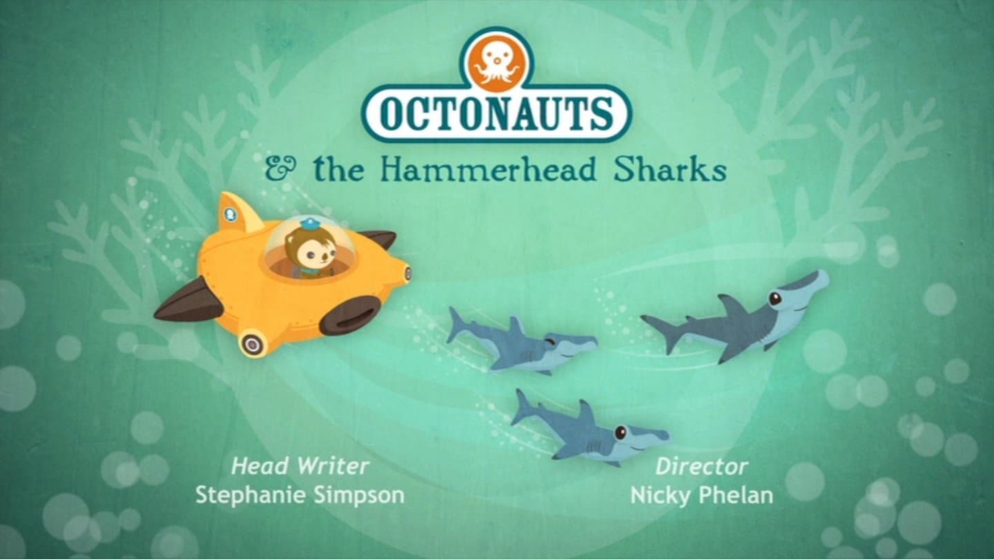 Les requins marteaux