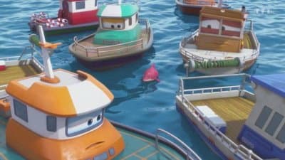 Le sanctuaire des dauphins