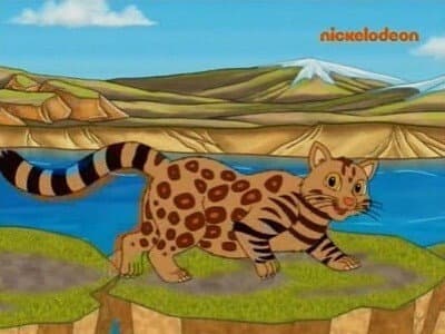Mommy Cat et ses chatons