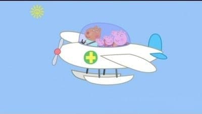 La Vétérinaire Volante