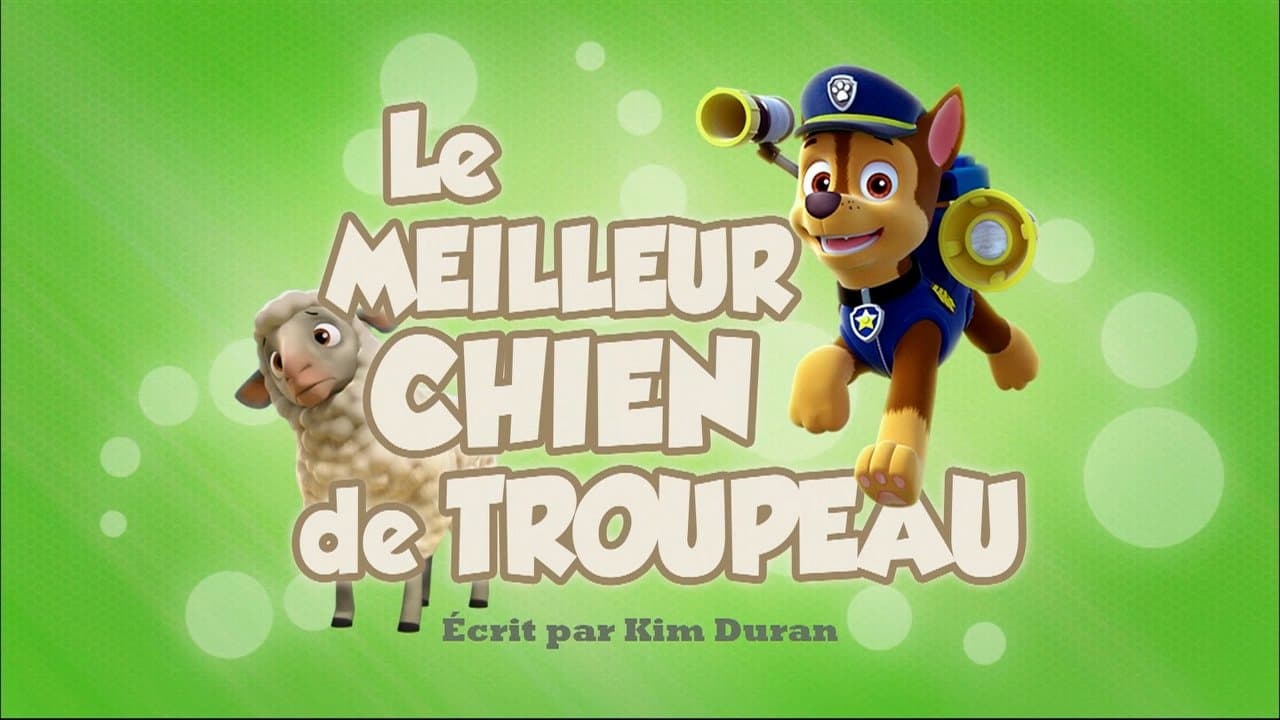 Le Meilleur Chien de troupeau Le Meilleur Chien de troupeau