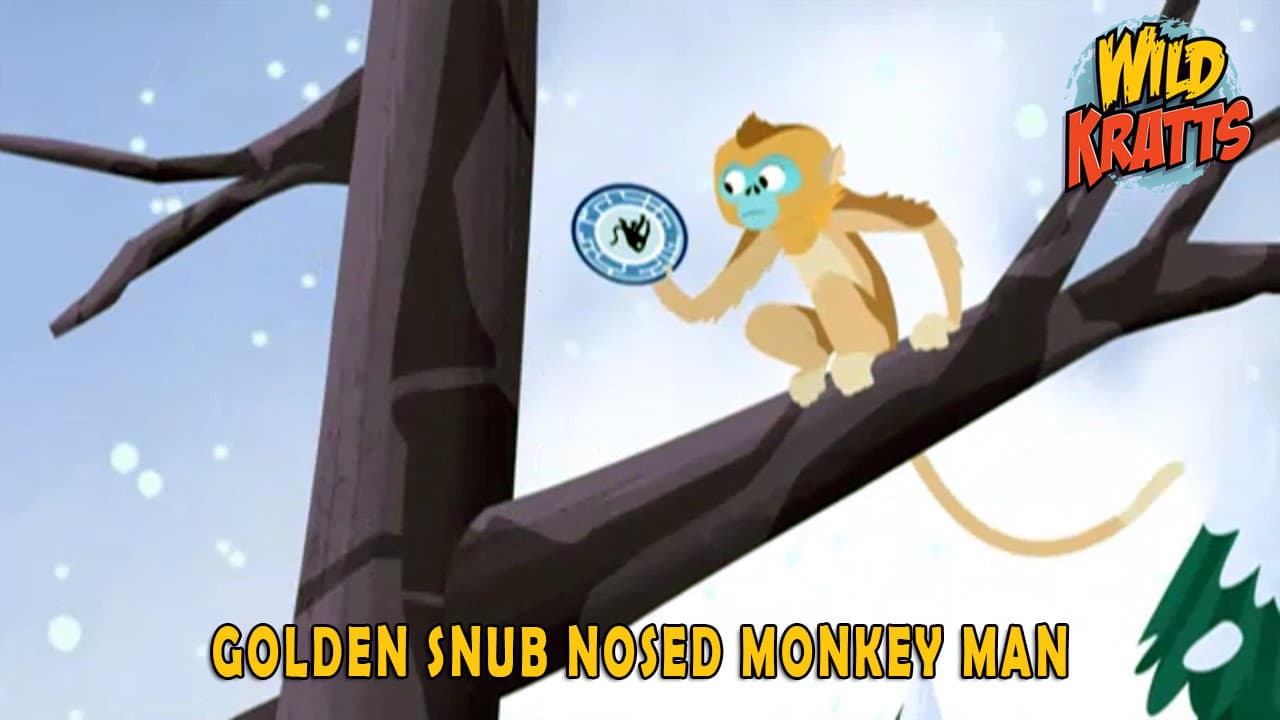Épisode 10