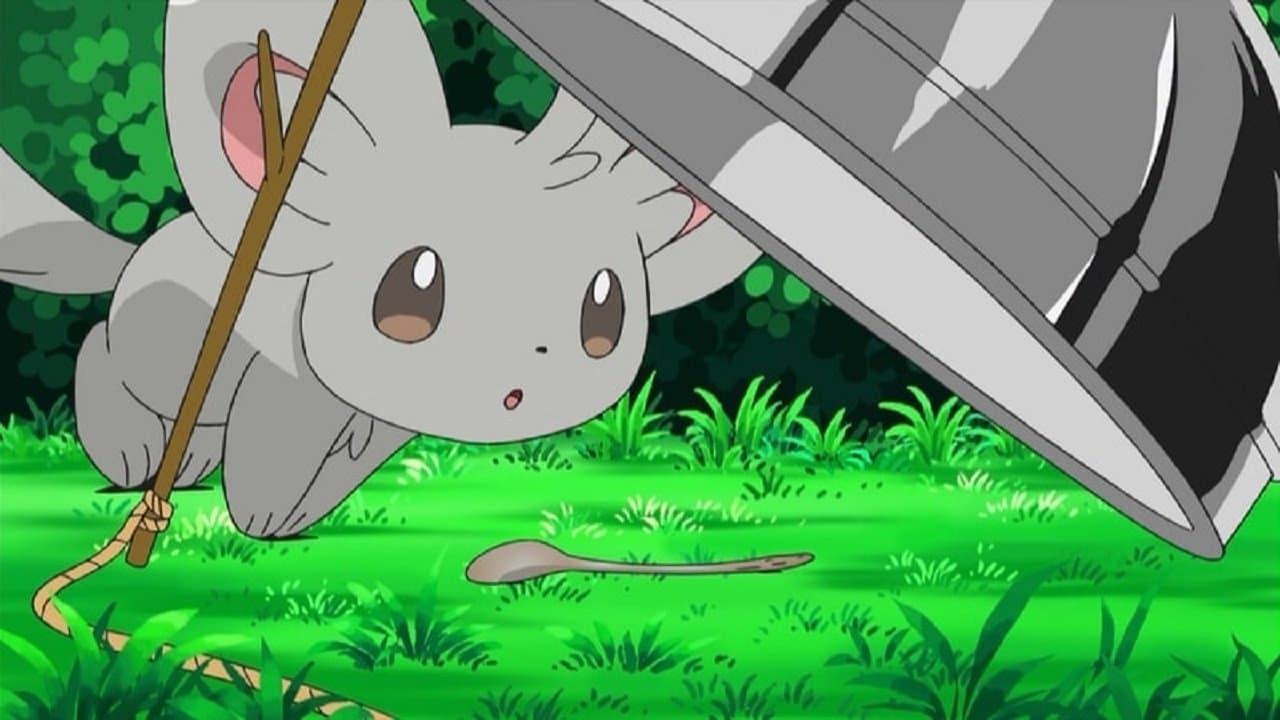 Chinchidou, le roi de la propreté ! Chinchidou, le roi de la propreté !