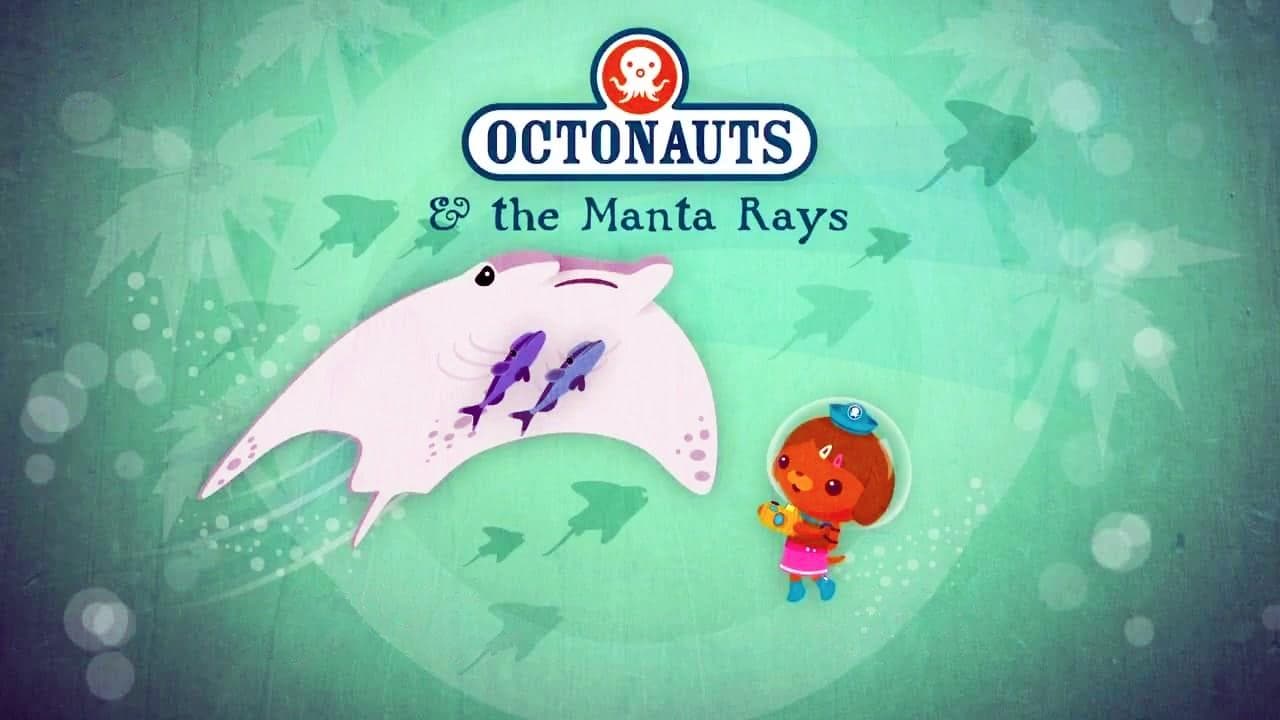 Les raies manta