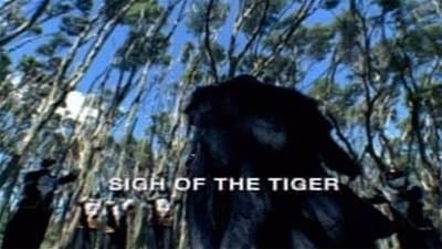 L'Esprit du tigre