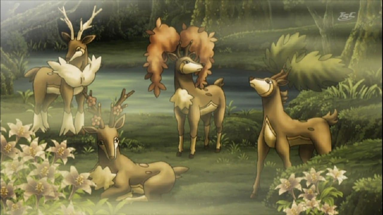 Les quatre saisons de Haydaim Les quatre saisons de Haydaim