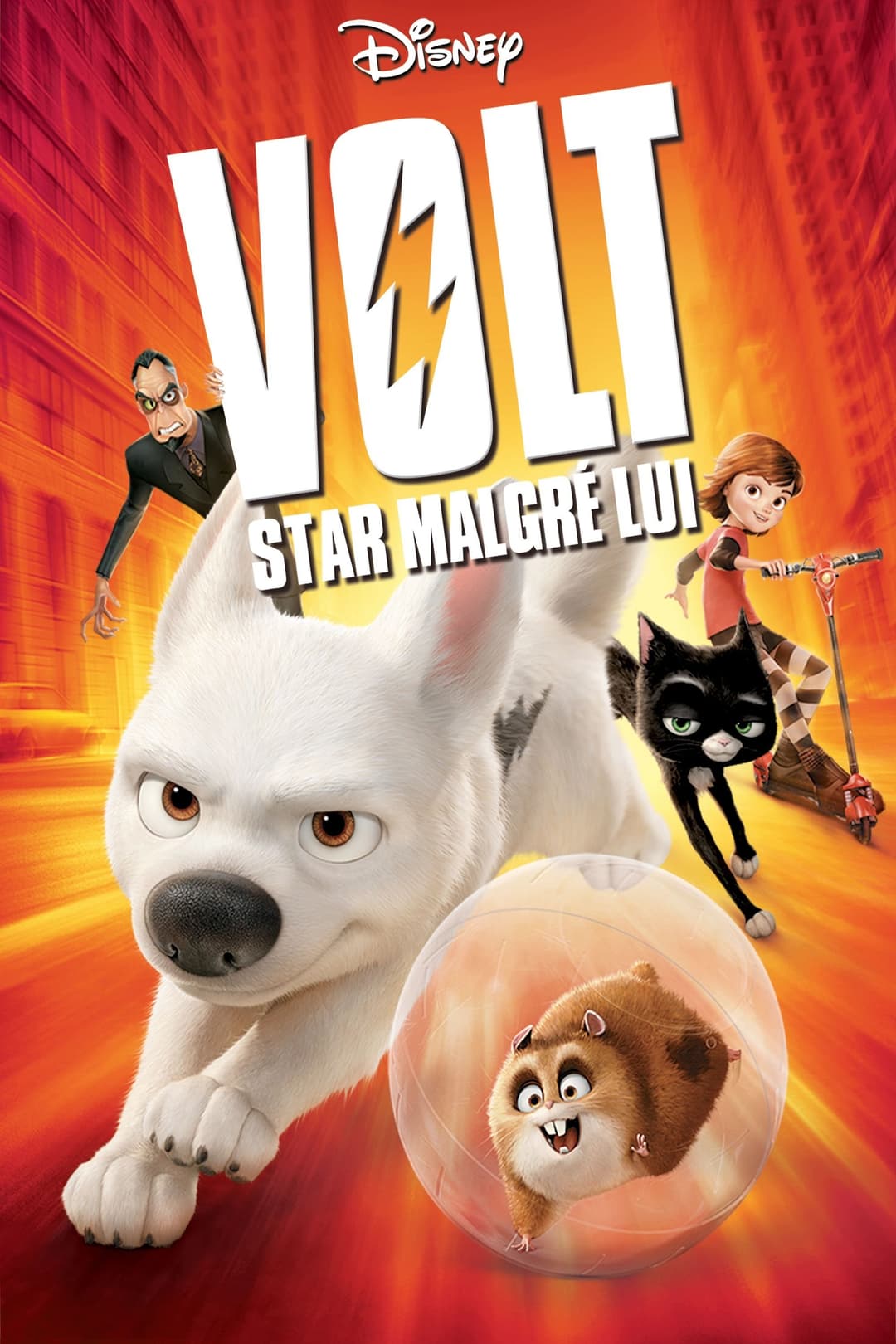 Volt, star malgré lui Volt, star malgré lui