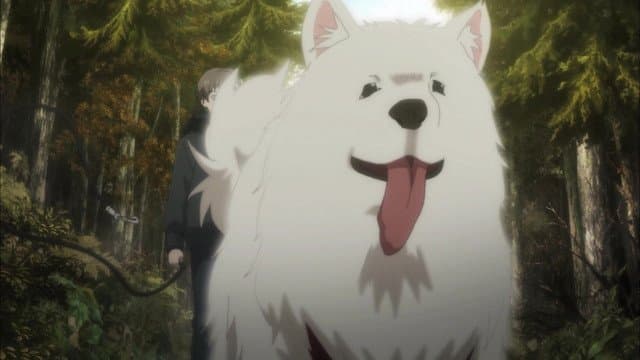 Les Papillons ont disparu en novembre (2e partie) Les Papillons ont disparu en novembre (2e partie)