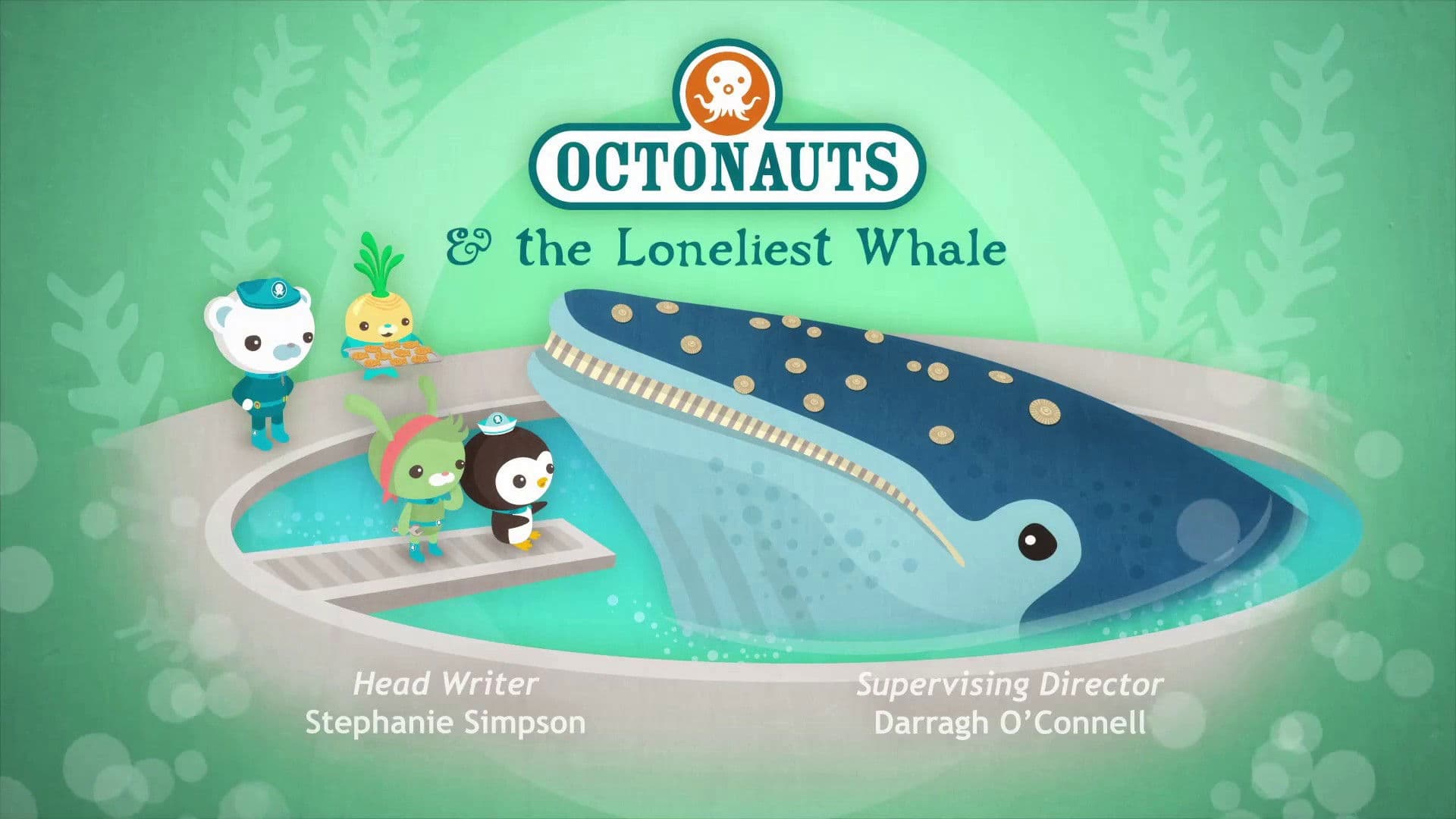 Le mystérieux chant de la baleine solitaire Le mystérieux chant de la baleine solitaire