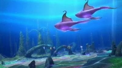 Chœur des baleines Chœur des baleines