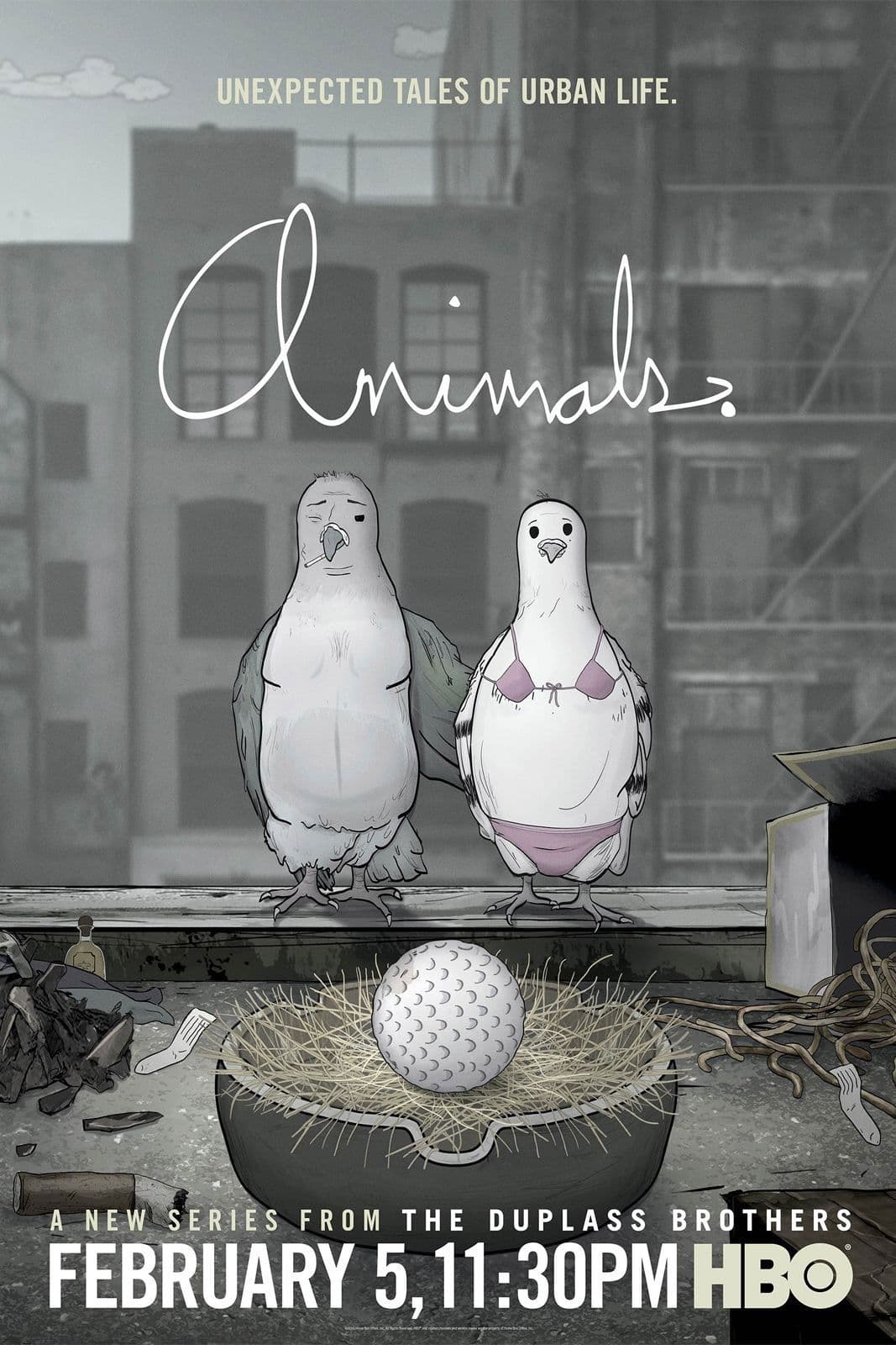 Animals Animals