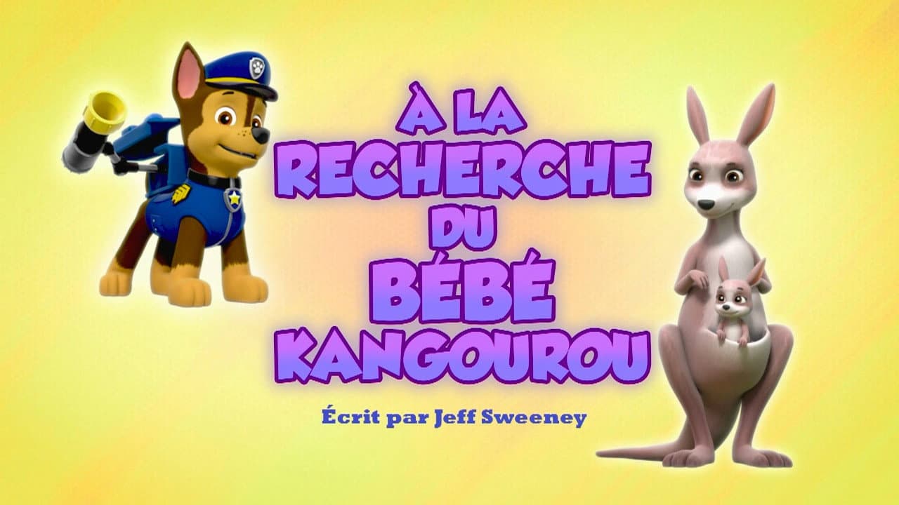 À la recherche du bébé kangourou À la recherche du bébé kangourou