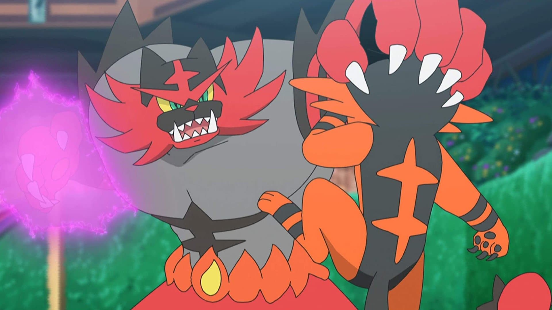 Des surprises flamboyantes ! Des surprises flamboyantes !